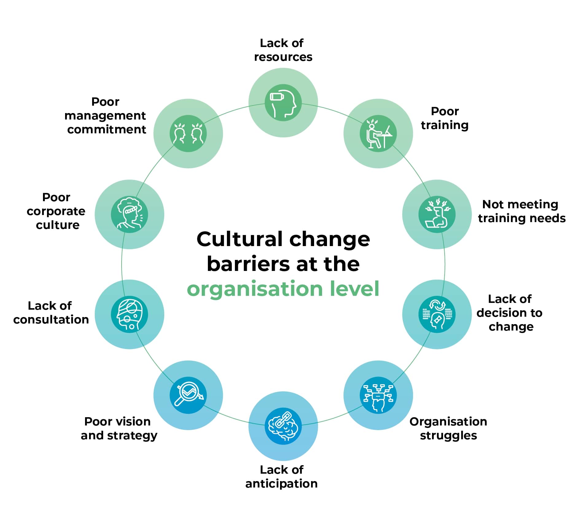 cultural barriers - organisation